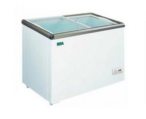 Usaha Frozen Food